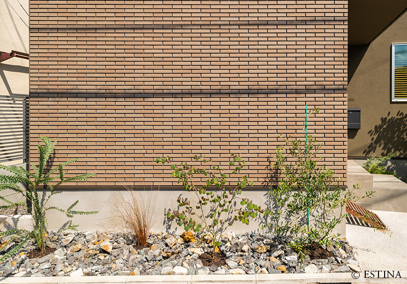 殺風景になりがちな壁面は個性的な植物が立ち並ぶ。